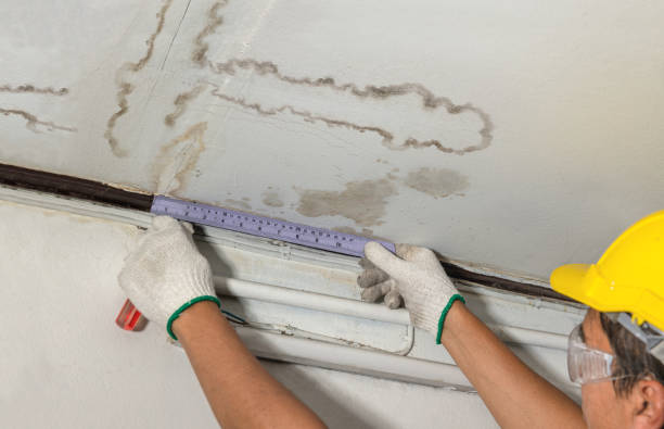 Reliable Mold Remediation contractor in Fairview, OR by Water Damage Irwin